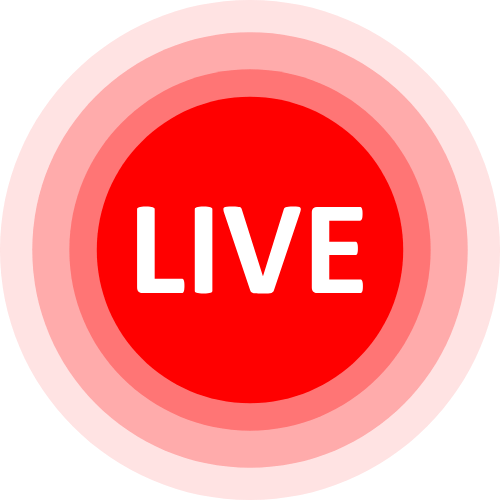 Lilhoneybee Cam